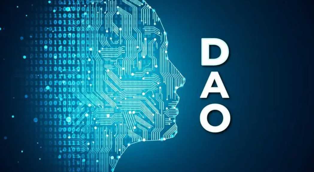 抛开意识形态 DAO是什么?-iNFTnews