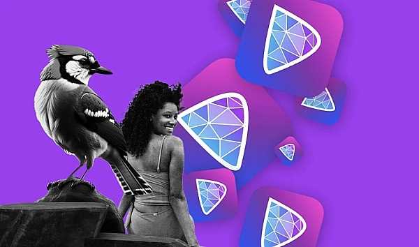 新的社交媒体年:Nostr原理和关键管理问题-iNFTnews