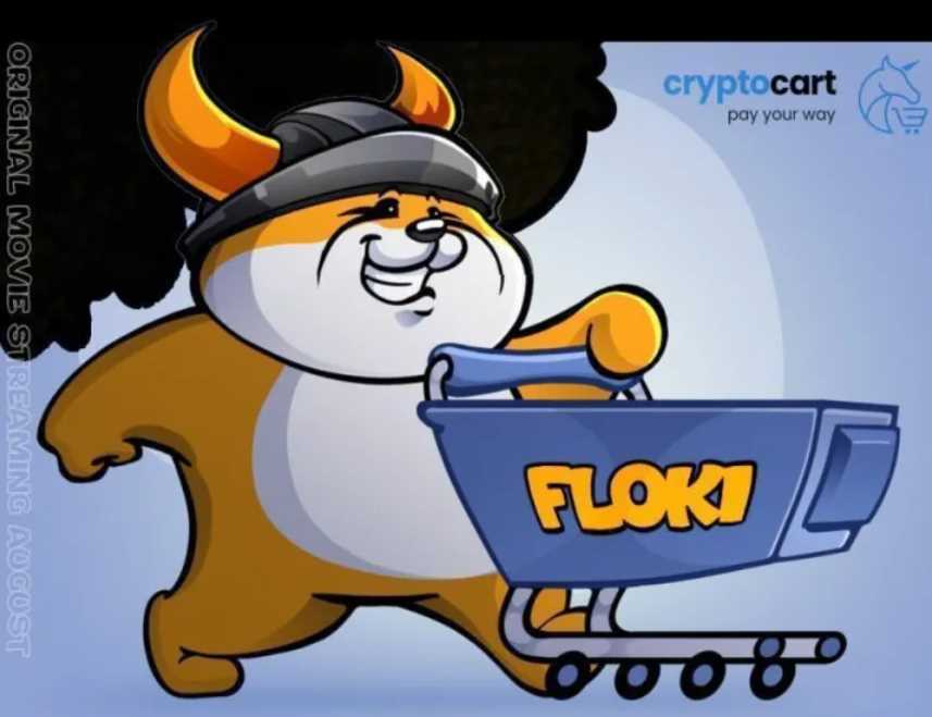 Floki会是下一个Shiba Inu吗? Floki将深入中国市场以达成新的高度-iNFTnews