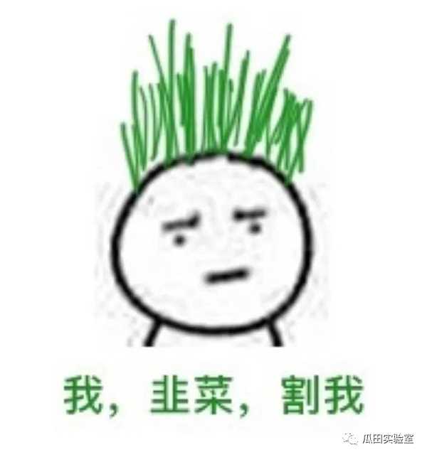 下轮牛市的引爆点: 一种新的从 WEB2 导流的方式-iNFTnews