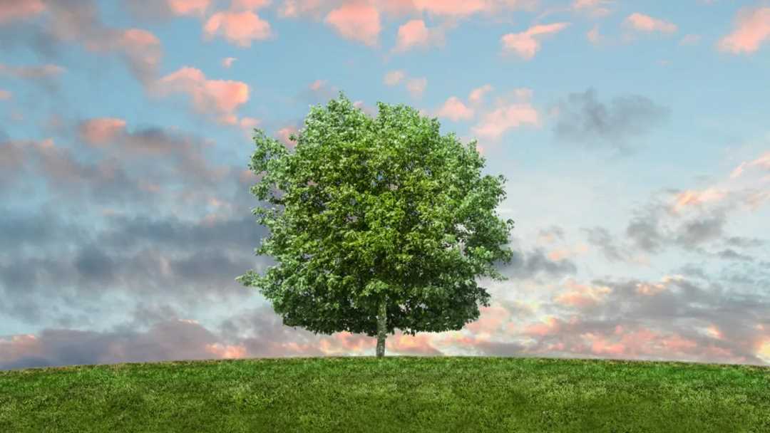 AI 与区块链的融合:迈向 Nature2.0-iNFTnews