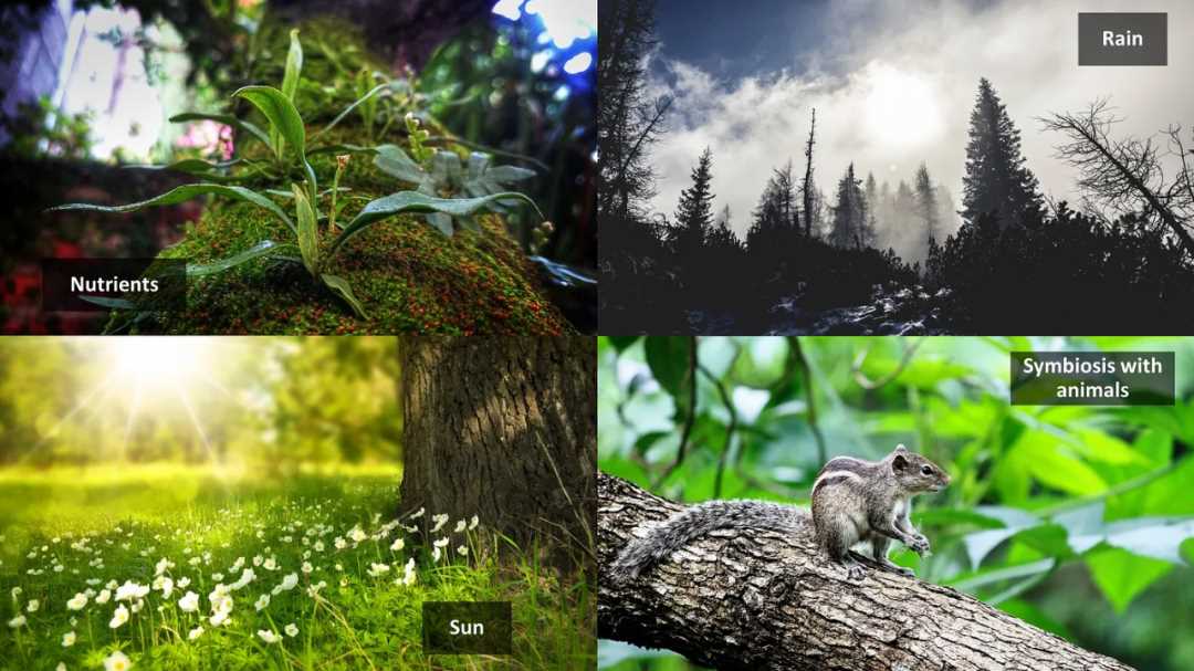 AI 与区块链的融合:迈向 Nature2.0-iNFTnews