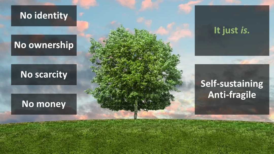 AI 与区块链的融合:迈向 Nature2.0-iNFTnews