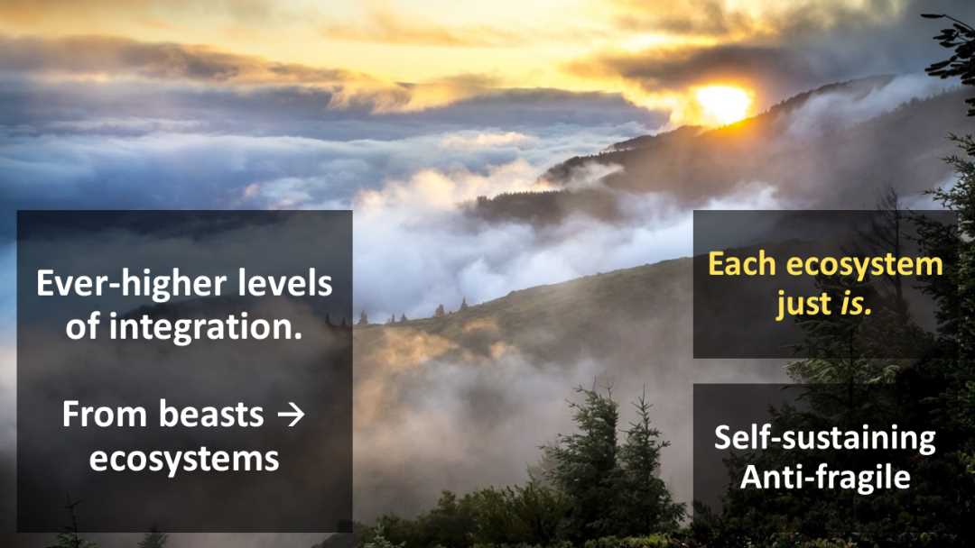 AI 与区块链的融合:迈向 Nature2.0-iNFTnews