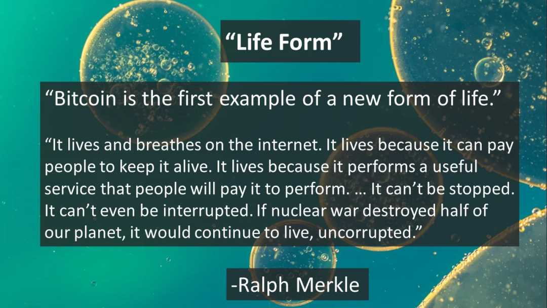 AI 与区块链的融合:迈向 Nature2.0-iNFTnews