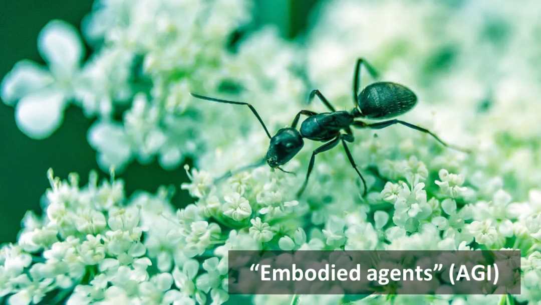 AI 与区块链的融合:迈向 Nature2.0-iNFTnews