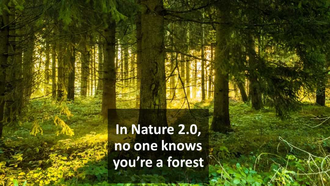AI 与区块链的融合:迈向 Nature2.0-iNFTnews