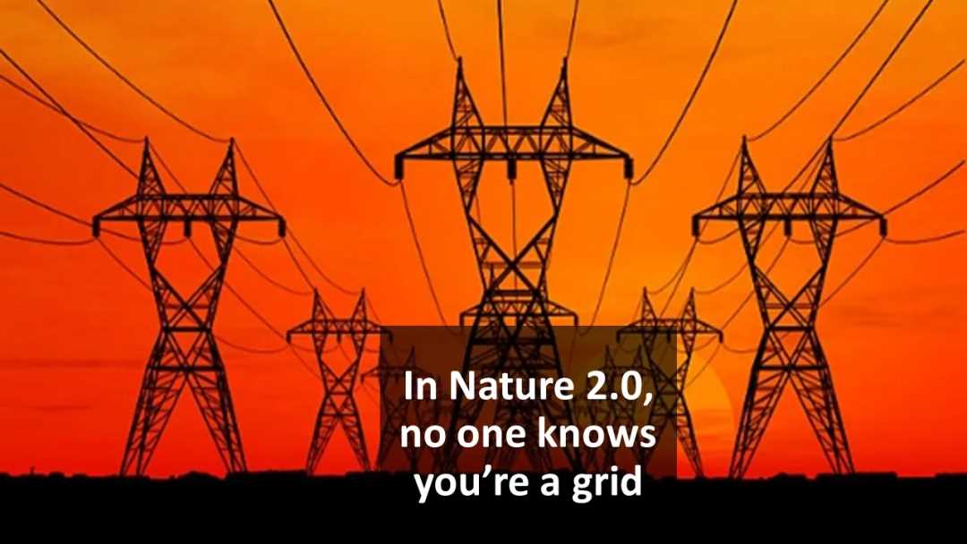 AI 与区块链的融合:迈向 Nature2.0-iNFTnews