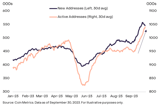 灰度9月市场报告:比特币在全球市场动荡背景下仍表现强劲