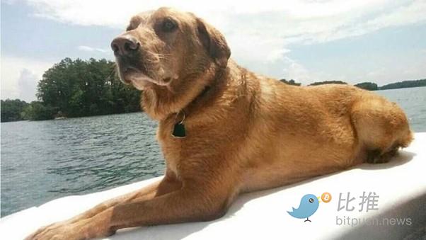 解密Jimmy Zhong的双面人生:从比特币开发大佬,到暗网巨盗