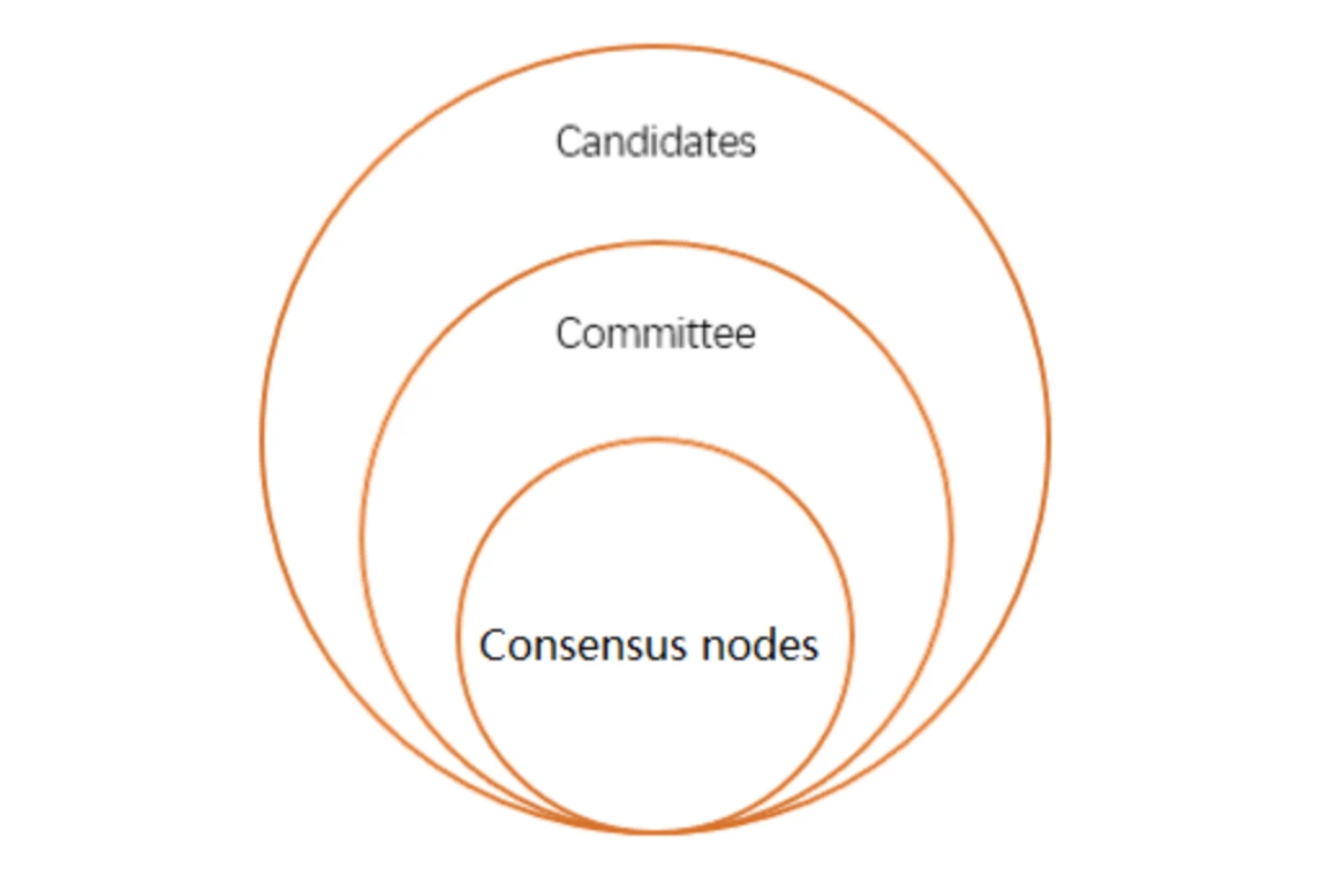 周涨幅近3倍,解读GAS代币上涨的背后逻辑