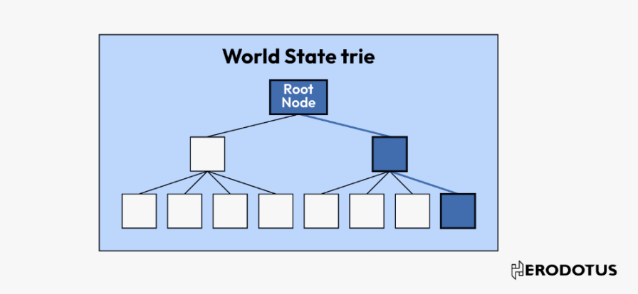 ABCDE研报:ZK新用例,深入探讨协处理器及各家解决方案