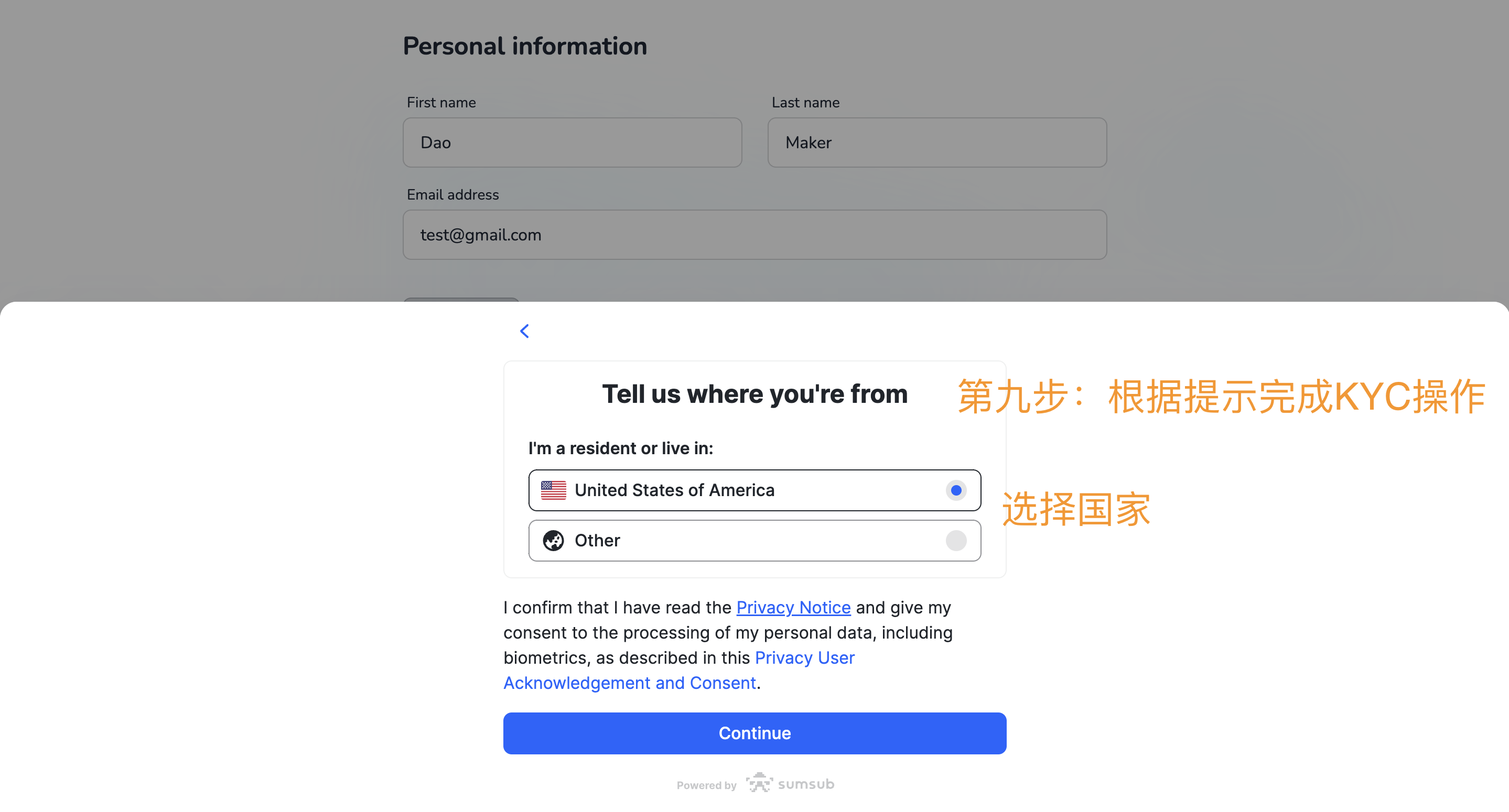 超详细攻略|详解 DAO Maker 打新全流程与5倍额度新规则
