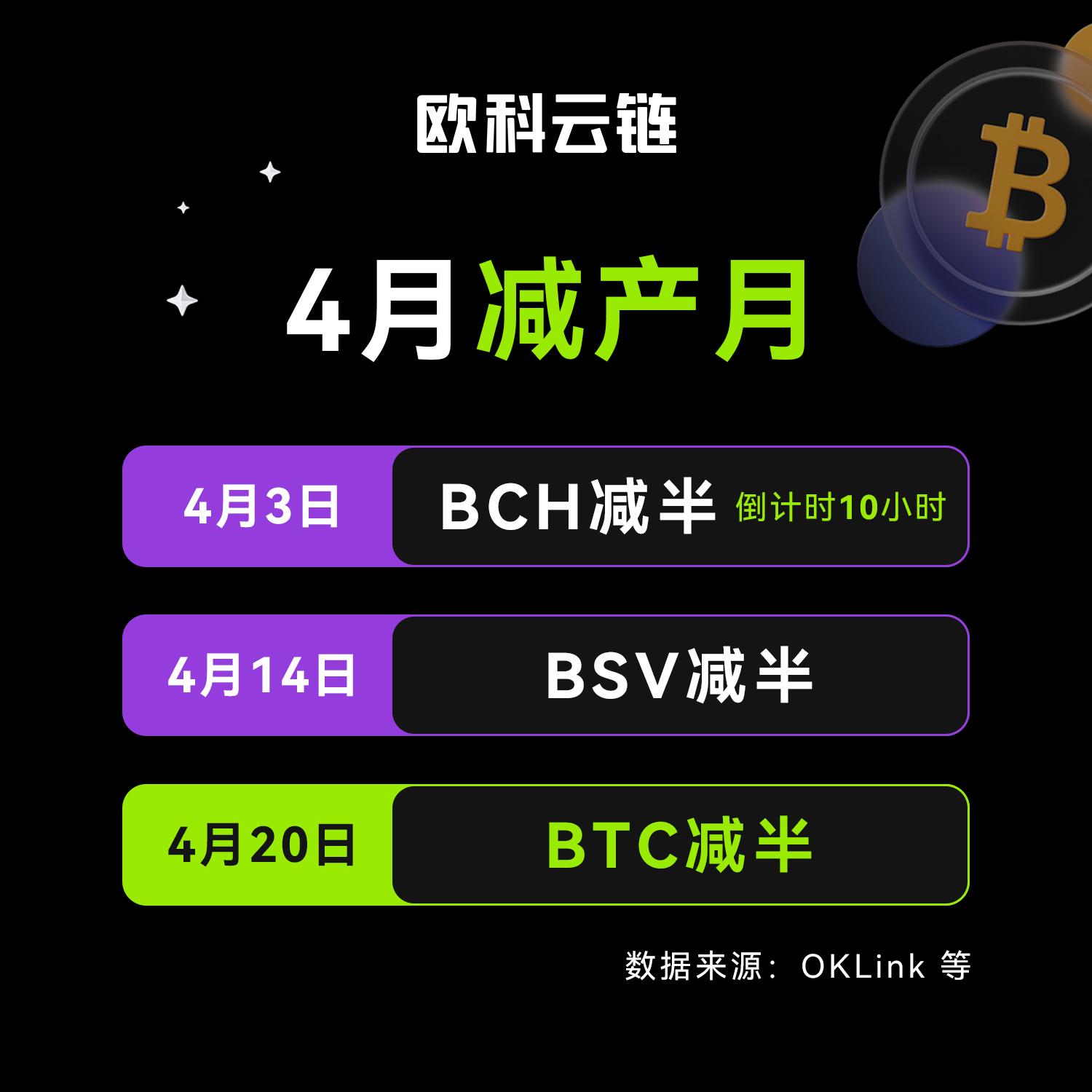 距离BCH减半仅剩10小时,减半后区块奖励降至3.125 BCH