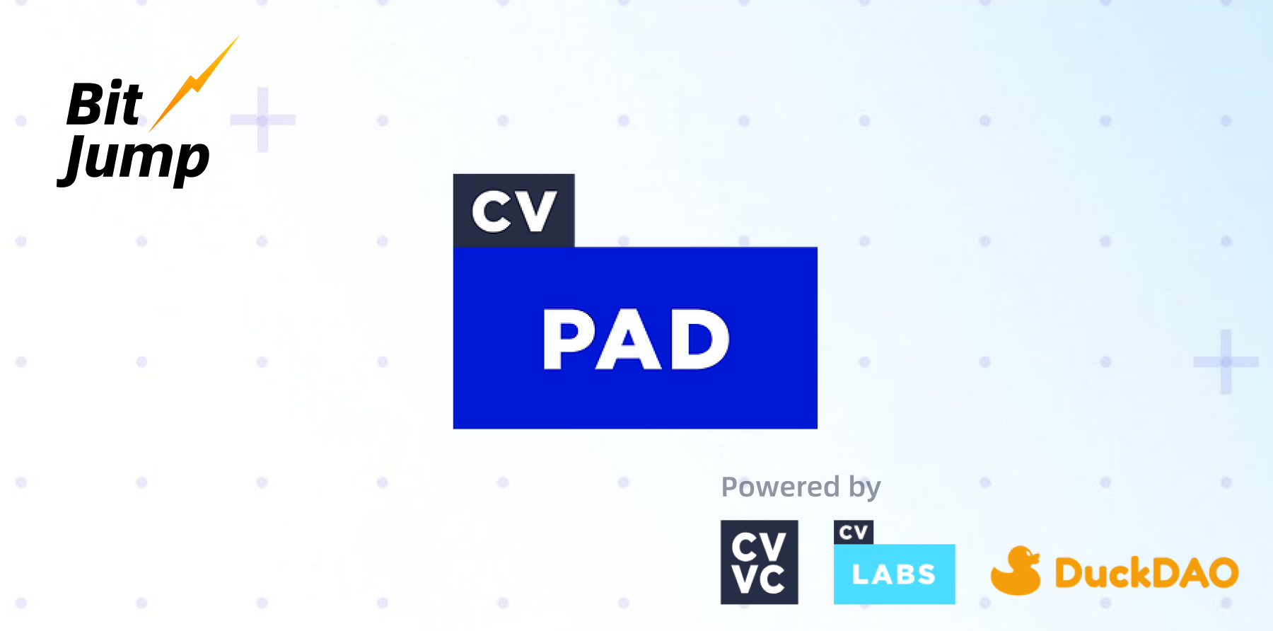 解读CV D:VC背景的全生命周期Launchpad