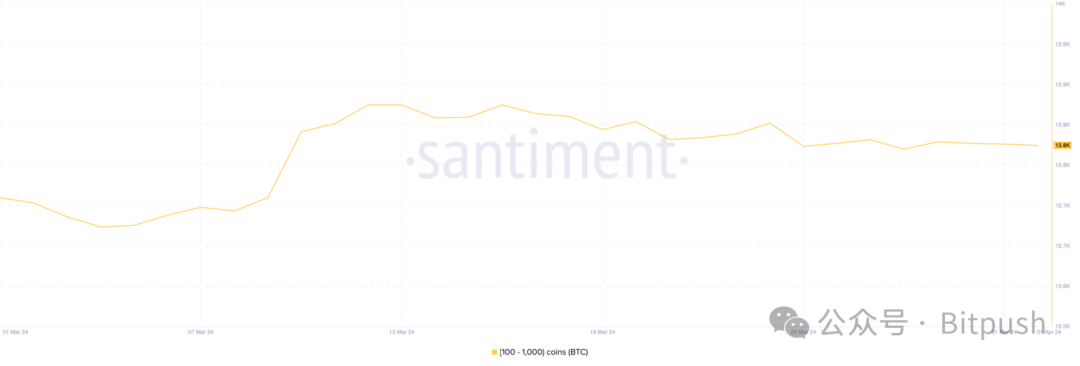 比特币巨鲸增持放缓,我们行至牛市何处?