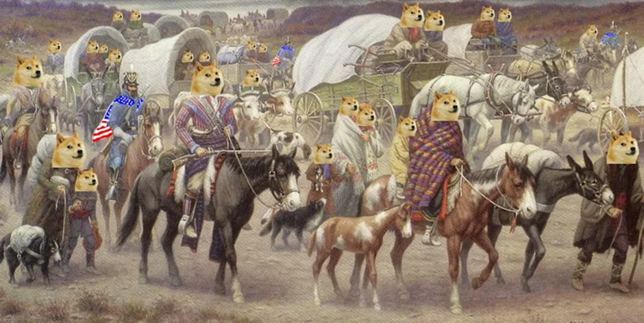 深入探究Meme:市场情绪升温,机构投资者涌入