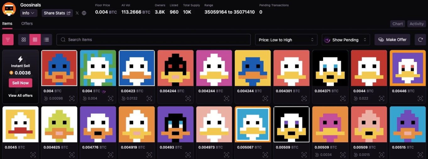 测试网“一水难求”、主网上线在即,盘点分形比特币10大生态项目