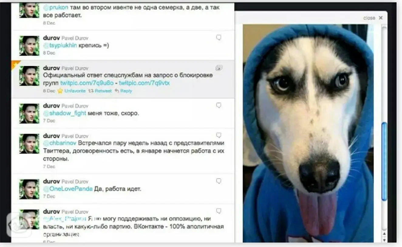 TON生态力推、币安随即响应,MEME币抵抗狗REDO成了新的TON链文化之王?