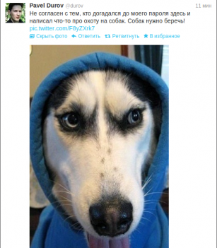 “抵抗犬”运动带动Ton生态MEME币REDO暴涨,多家机构“晒单”支持TON