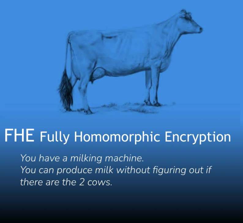 当奶牛遇上密码学:4个比喻图解ZK、FHE、MPC和TEE