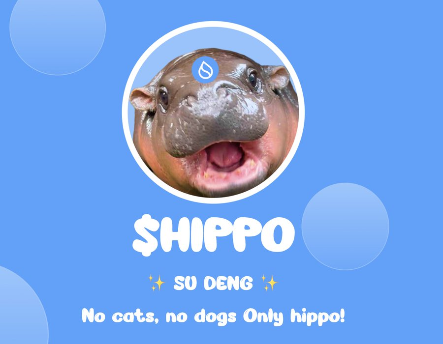 TVL突破10亿美元,市值闯进前20,Sui近期发生了什么?