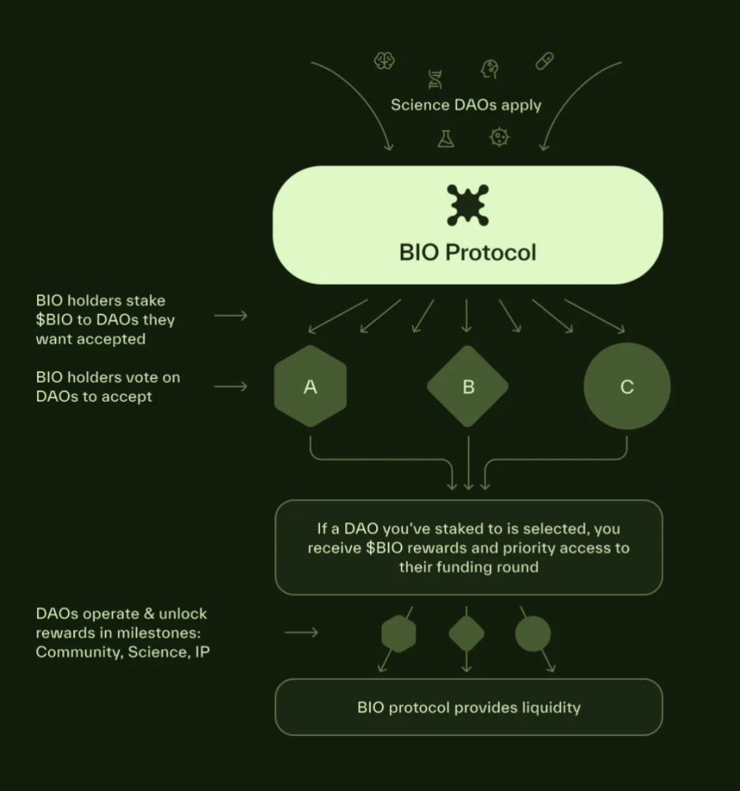 解构BIO Protocol:最大的DeSci基础设施,众多BIO子网共建生态繁荣