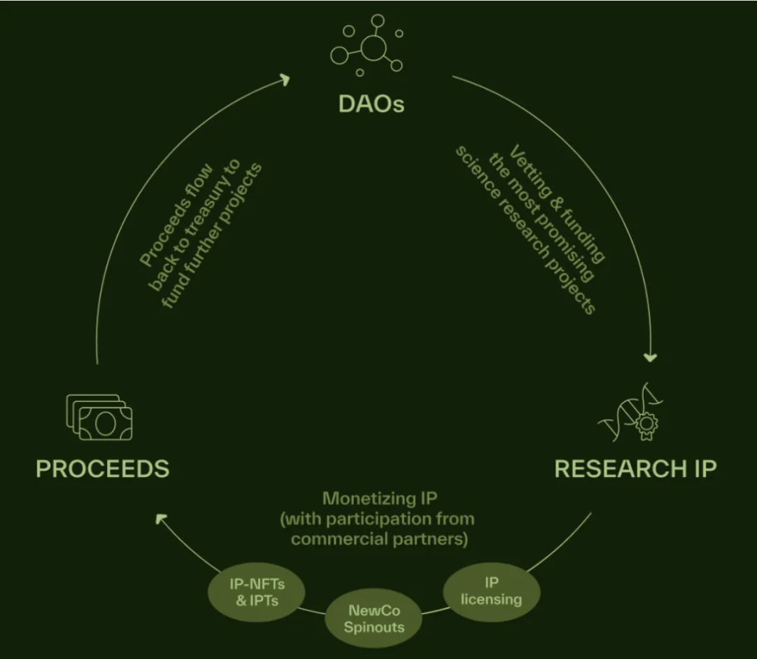 解构BIO Protocol:最大的DeSci基础设施,众多BIO子网共建生态繁荣