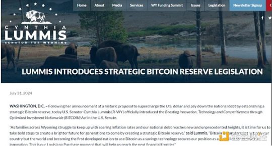 特朗普上台后,谁将成为2025年加密货币的主要采用者?