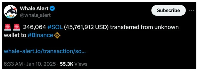 数据解读:将巨鲸动向作为交易信号可靠吗?