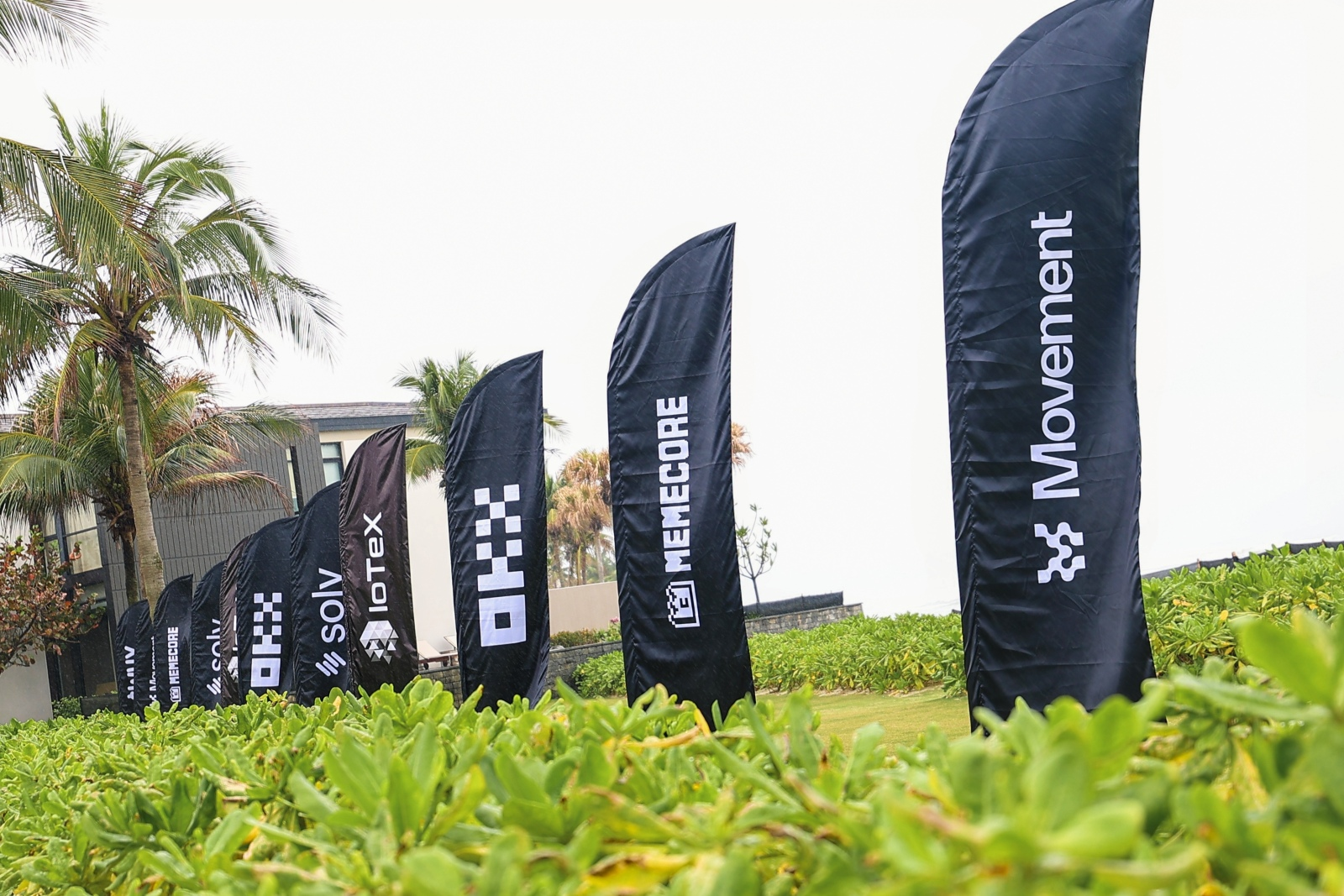 岘港·OKX年夜饭:宾朋云集,共启新年序章