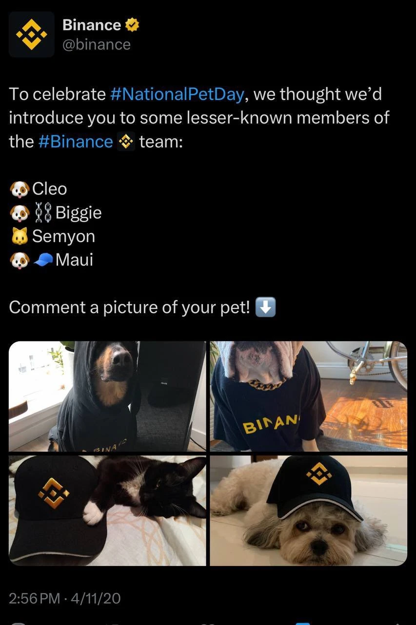 币安链寻“狗”启示:CZ考虑公布名字,全网化身私家侦探