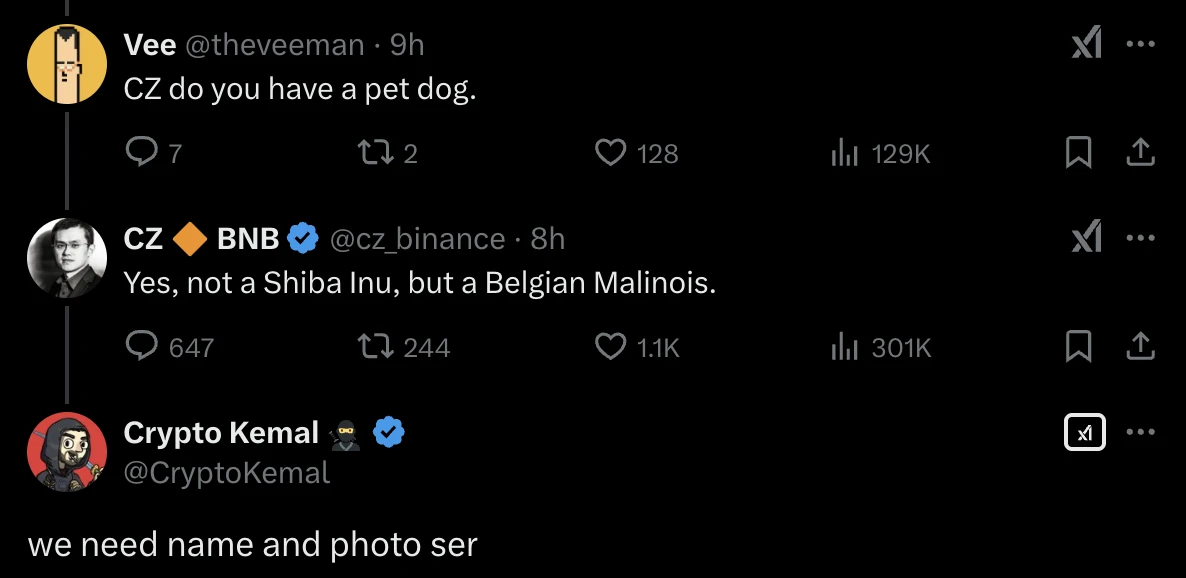 币安链寻“狗”启示:CZ考虑公布名字,全网化身私家侦探