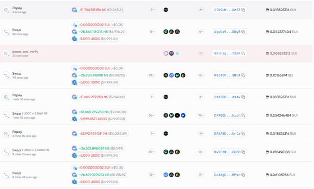 Sui Name Service (NS) 暴涨,项目潜力爆发还是昙花一现?
